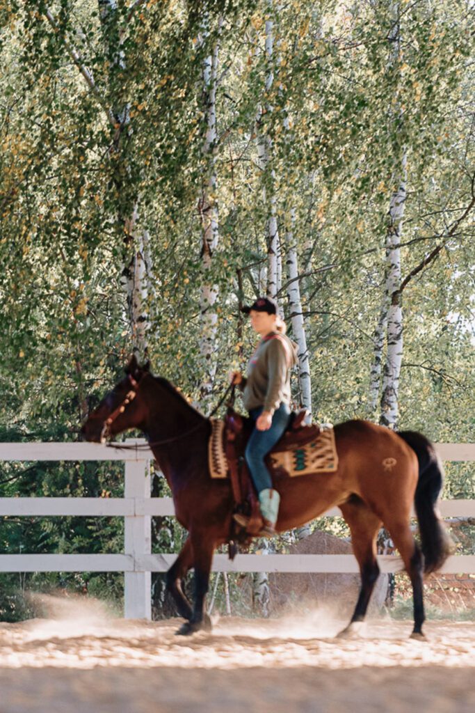 ranczosyberiapl--0183403