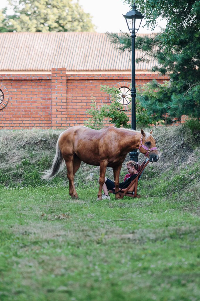 ranczosyberiapl--0193404