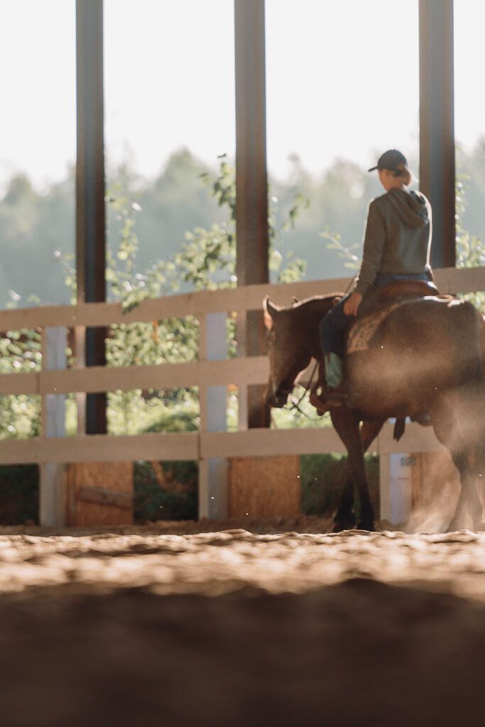 ranczosyberiapl--0223409